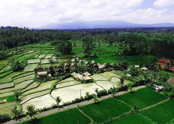 Station touristique De Klumpu Bali Eco Tradi 4*