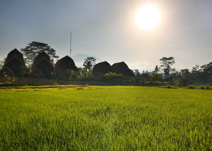 De Klumpu Bali Eco Tradi リゾート 4*