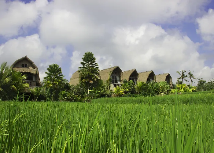 De Klumpu Bali Eco Tradi Station touristique Bangli