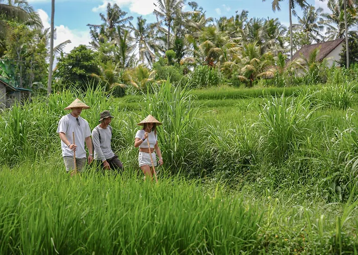 リゾート De Klumpu Bali Eco Tradi