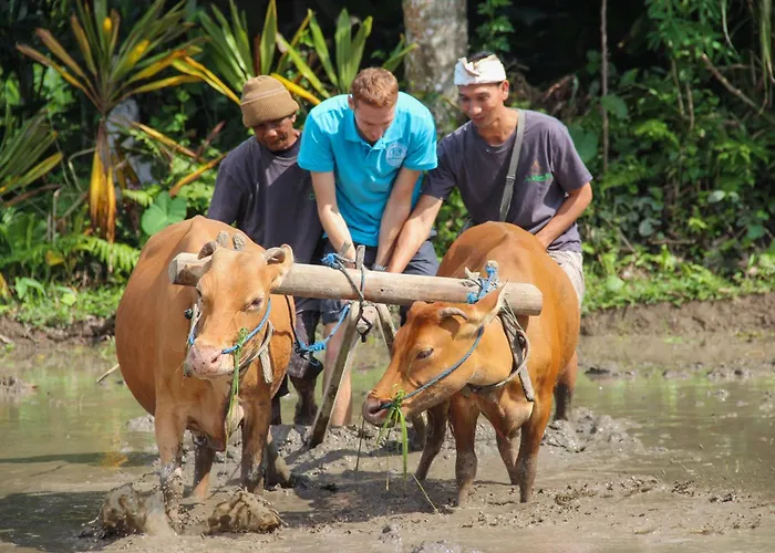 De Klumpu Bali Eco Tradi 4* Bangli